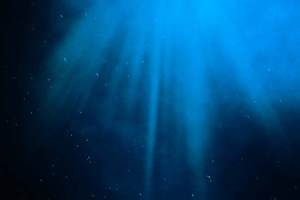 istock Underwater sea, ocean with light rays. 3d illustration 628908394
