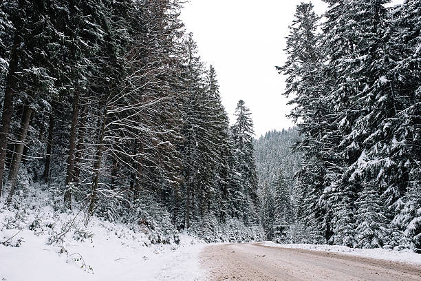 istock Winter road covered with snow in the forest 628908834