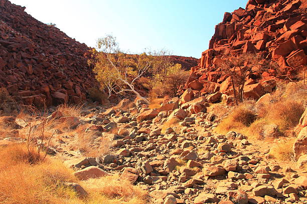 istock Muruguja national park, Australia 628917098