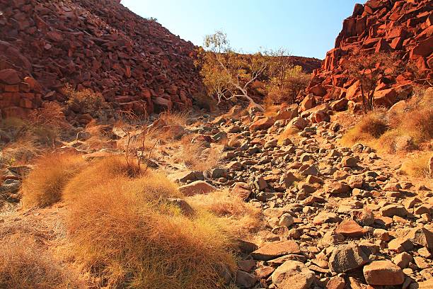 istock Muruguja national park, Australia 628917204