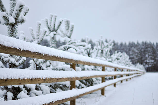 istock Snowy winter landscape. 628917492