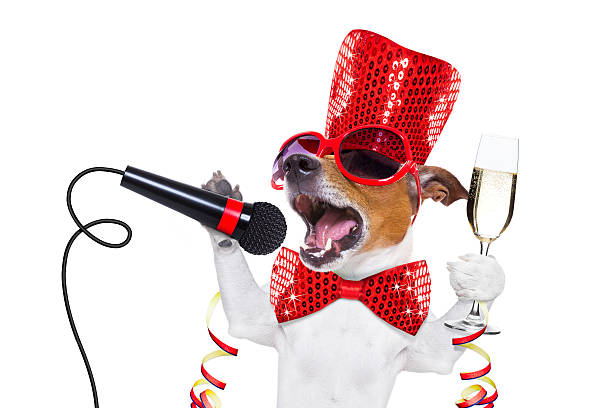 istock happy new year dog celberation 628926448
