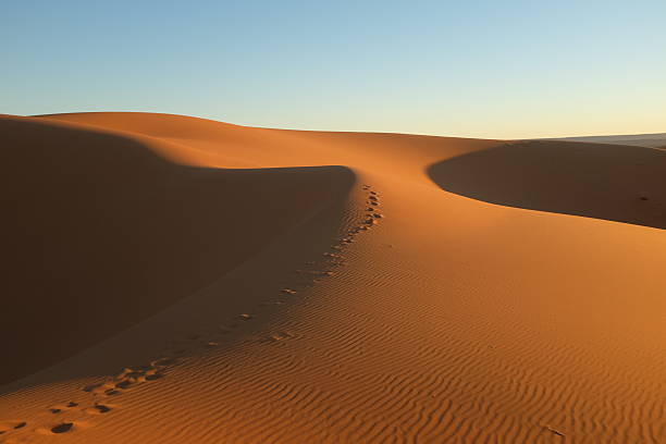 istock Sand Dune with Footsteps in the Evening Sun 628931862