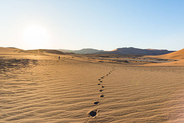 istock Walking on the sand dunes, Namibia, Africa 628932342