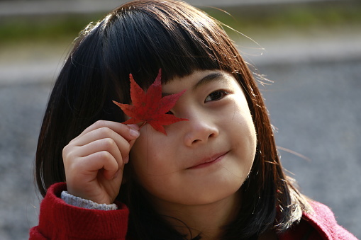 little girl holding momiji(Japanese maple)