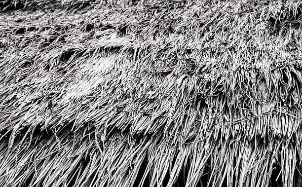 Roofs made of materials from the blade of grass