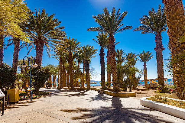 istock The Central Promenade in Eilat 628947006