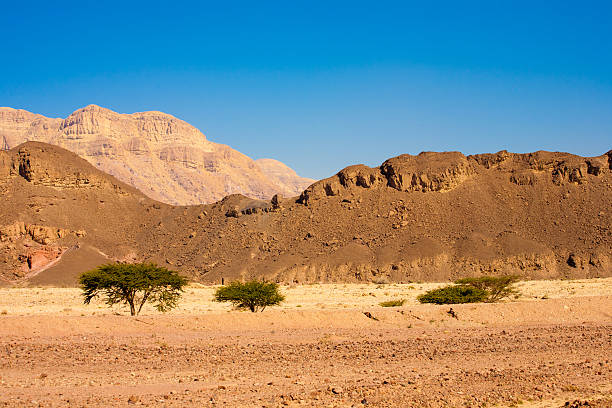 istock Landscape from Timna National Park, Israel 628947270