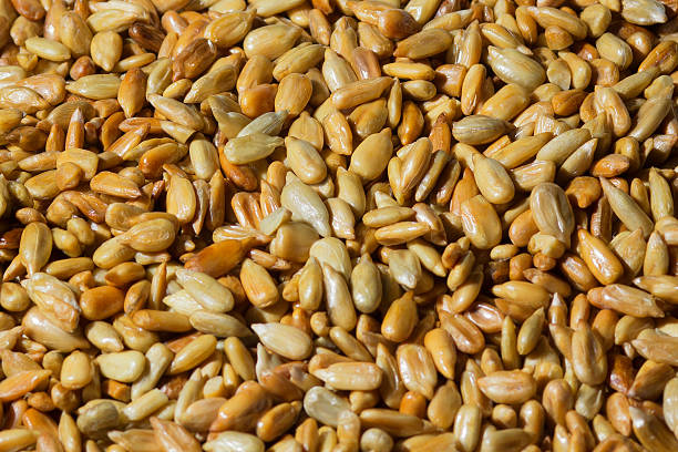 istock Peeled roasted sunflower seeds 628947300