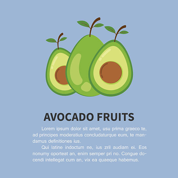 avocado-infografik. früchte vektor-illustration. avocado obst flach stil design - guacamole avocado cutting white background stock-grafiken, -clipart, -cartoons und -symbole