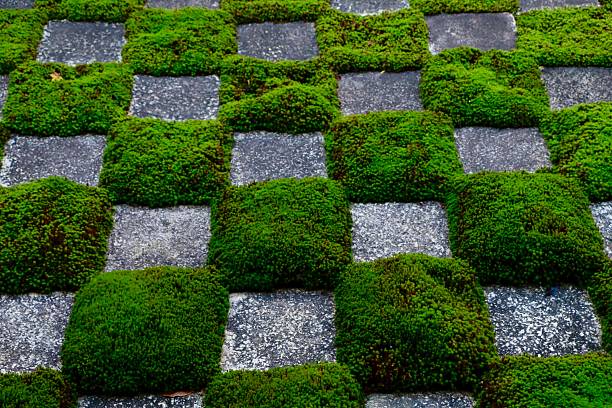 The northern garden at Tofukuji temple, Kyoto