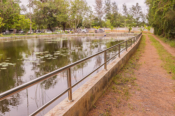 istock Stainless balustrade surrounding pond for protection 628951448