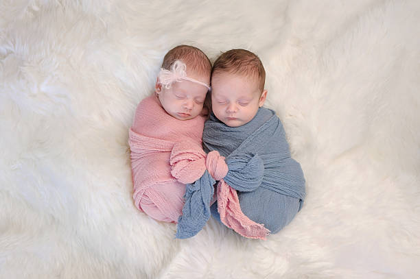 Fraternal Twin Baby Brother and Sister Two month old, boy and girl fraternal twin babies. They are sleeping and swaddled together in pink and blue wraps that are tied together in a bow. twin stock pictures, royalty-free photos & images