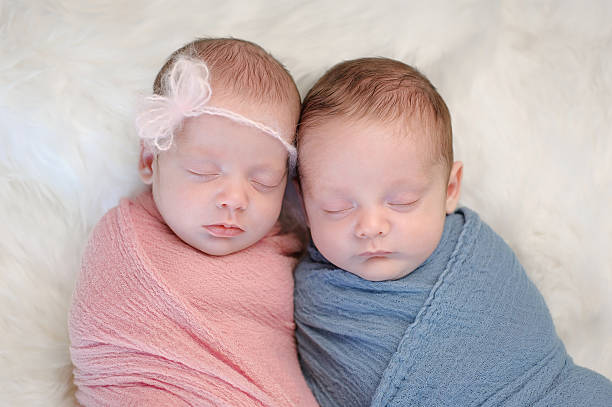 二卵性双生児ベビー兄と妹 - baby people headband portrait ストックフォトと画像