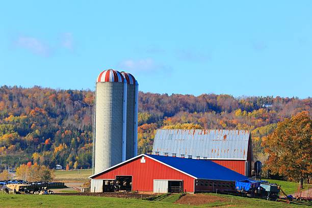 istock Scenic view of a farm, Nova Scoria, Canada, fall. 628963198