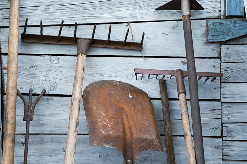 The old rusty tradition tools, instruments, implements and farm or household equipment on wooden shed wall background