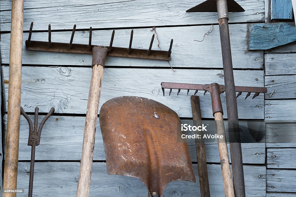 The old rusty tradition tools The old rusty tradition tools, instruments, implements and farm or household equipment on wooden shed wall background Gardening Equipment Stock Photo
