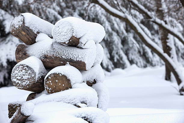 istock Stacked Firewood in the Snow 628964988
