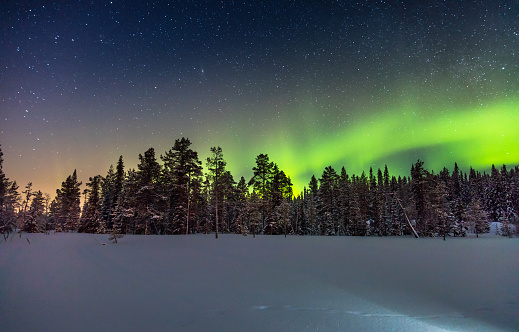 Real Northern lights or Aurora borealis above the snow covered forest, winter night landscape, stars sky and beautiful polar lights