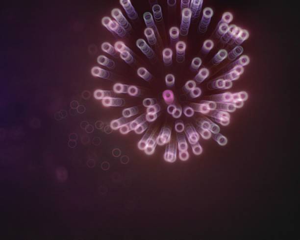 istock Light blur and defocus bokeh rings like blood or cells 628967538