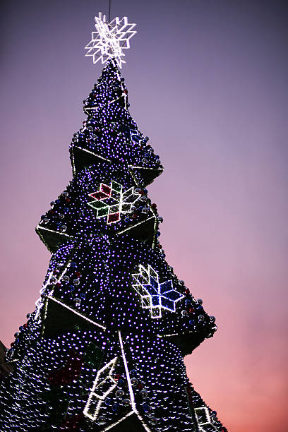 istock Christmas tree at christmas market 628977834