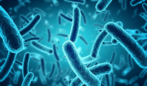 microscopic blue bacteria background stock photo