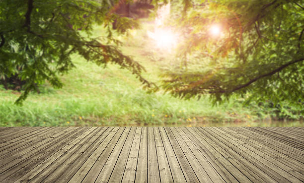istock Natural leaves with wooden board 628984144