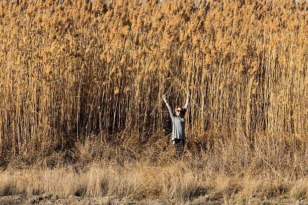 Woman shaking reeds - Freedom at the out of city