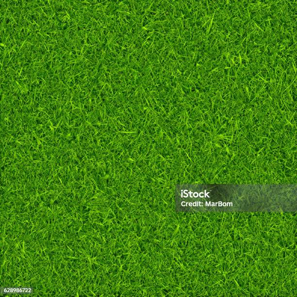 Green Grass Background Vector Stock Illustration - Download Image Now - Grass, Backgrounds, Vector