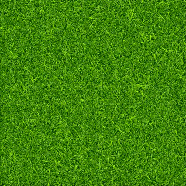 Vector illustration of Green grass background vector