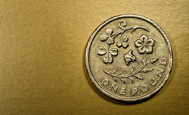 moneta britannica da 1 sterlina - one pound coin coin currency british culture foto e immagini stock