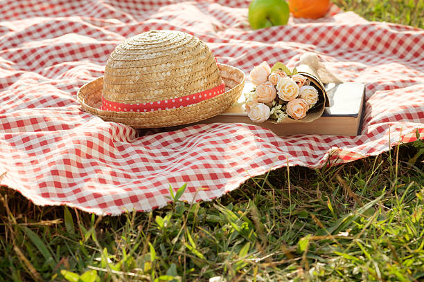 istock Outdoor picnic at the summer sunny day 628994228
