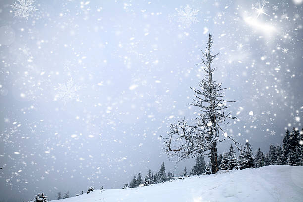 istock Winter landscape with snowy fir trees 628997130