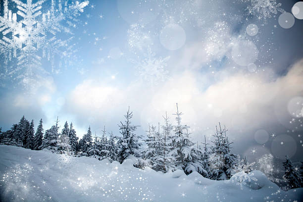 istock Winter landscape with snowy fir trees 628997924