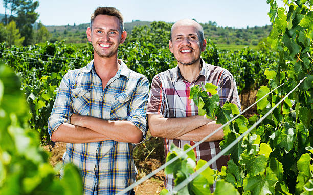istock Two  gardeners standing together in grapes tree yard 629004496