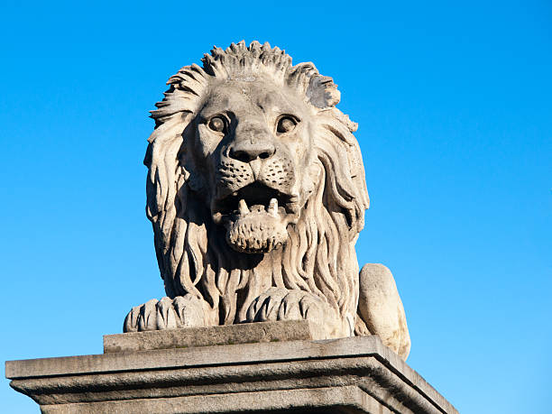 скульптура льва на цепной мосту в будапеште, столице - chain bridge budapest bridge lion стоковые фото и изображения
