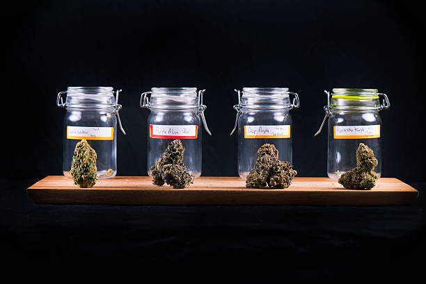 Cannabis buds in glass jars - medical marijuana dispensary concept - fotografia de stock