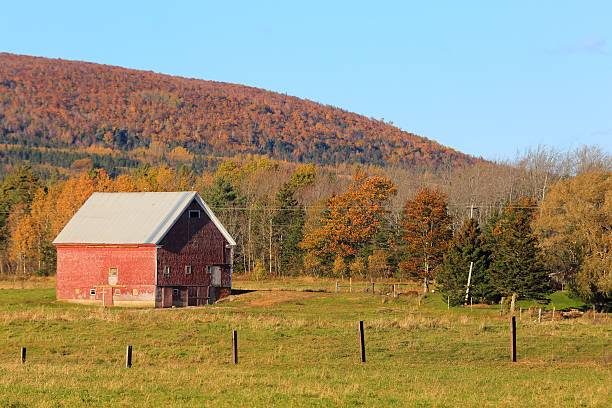 istock Scenic view of a barn in Nova Scotia, Canada, fall. 629006358