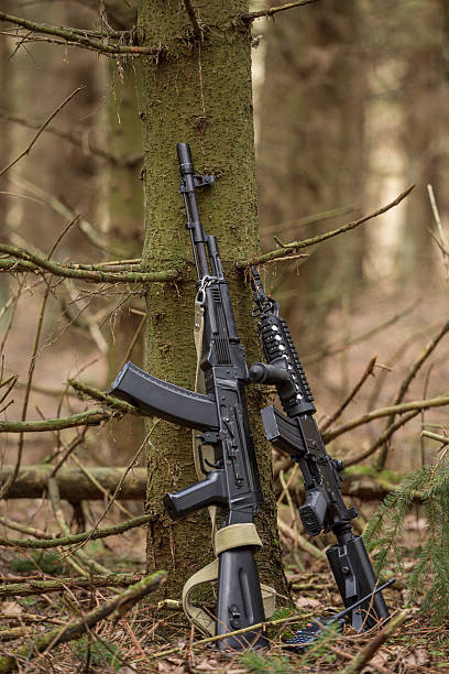istock Kalashnikov rifle and Rifle M16, standing near the tree 629010182