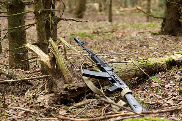 istock Kalashnikov rifle and Rifle M16, standing near the tree 629010278