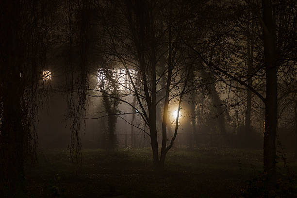 istock fog in a city park 629011872