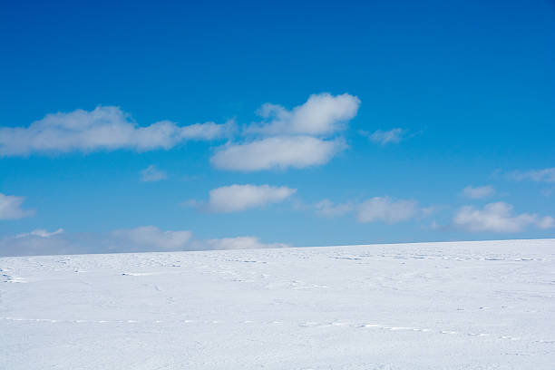 istock Snowfield and the blue sky 629024740