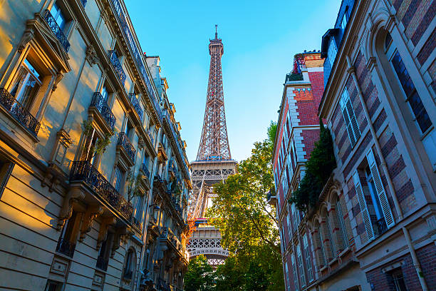 istock Eiffel Tower in Paris, France, at sunset 629024756