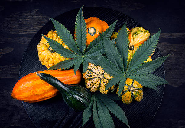 Thanksgiving background with autumnal squash, gourds and cannabis leaf stock photo