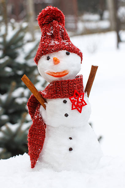 istock Decorated snowman with woolen scarf and cap 629036278