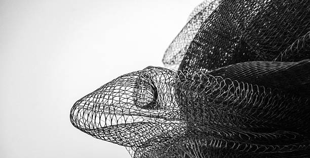 istock Close-Up Of Turtle Shape Art Against White Background 629041117