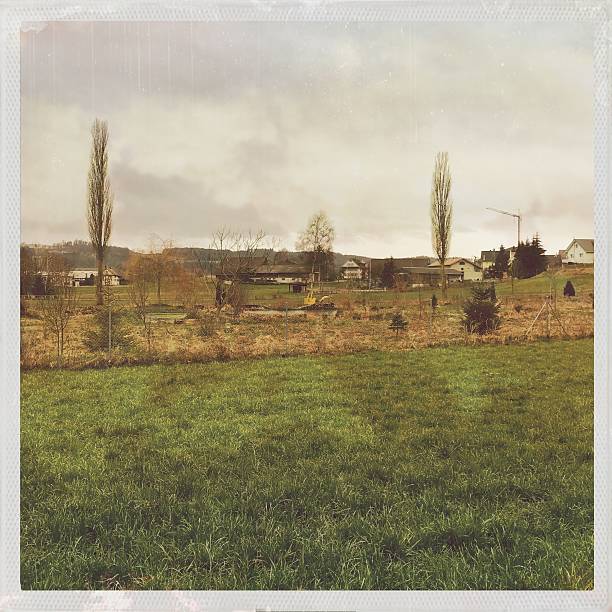 istock Houses On Grassy Field Against Sky 629046635