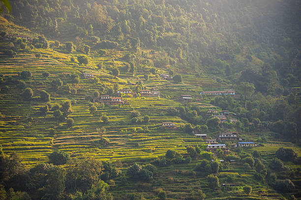 istock Rice terraces in Annapurna conservation area, Nepal. 629050450