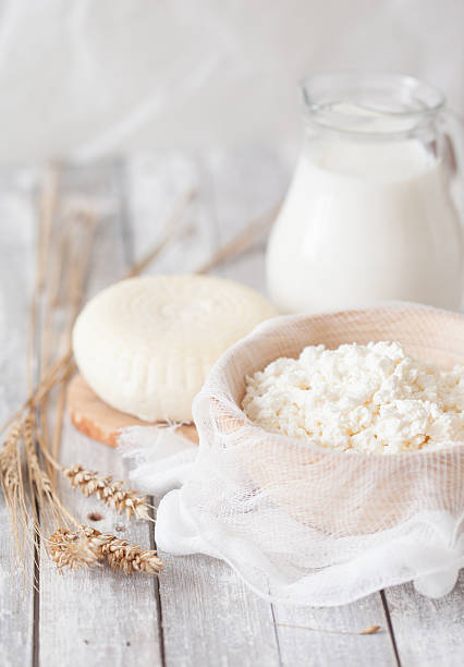 istock Tzfat cheese, milk, cottage cheese and wheat 629050550
