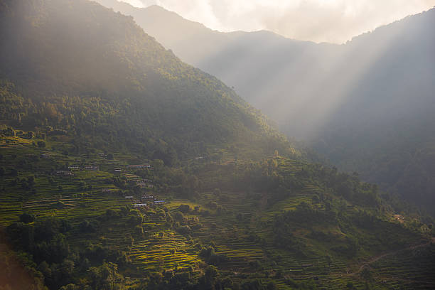 istock Rice terraces in Annapurna conservation area, Nepal. 629050652